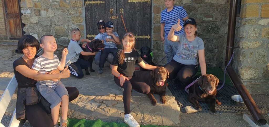 Animals and Therapy
