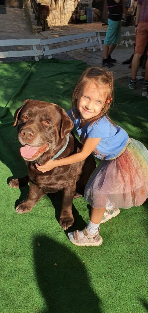 Animals and Therapy