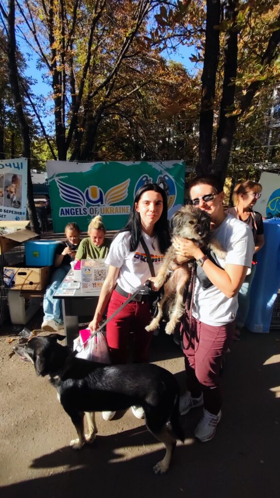 Chance for a New Life for Animals