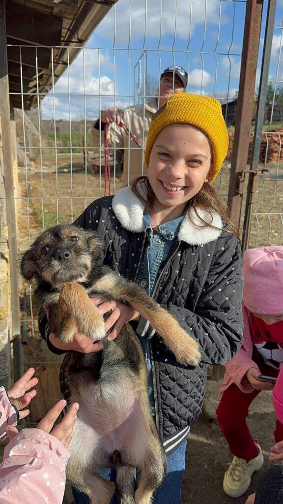 Chance for a New Life for Animals
