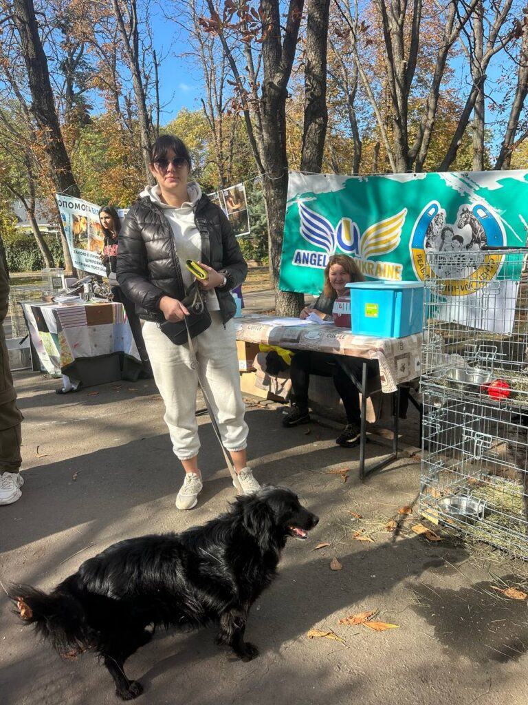 Chance for a New Life for Animals