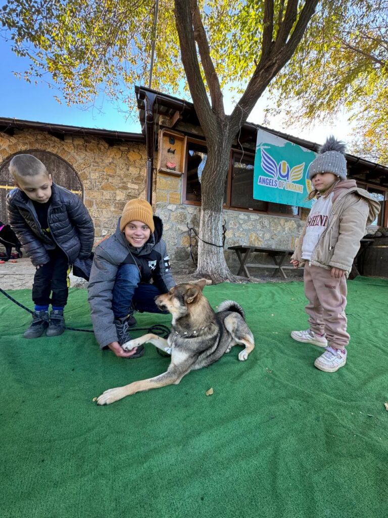 Animals and Therapy