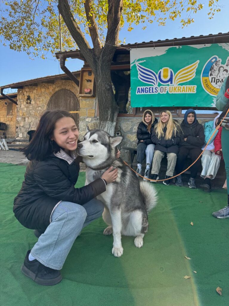 Animals and Therapy